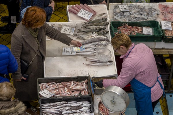 Birds eye view colour photo of a stall full of different fish