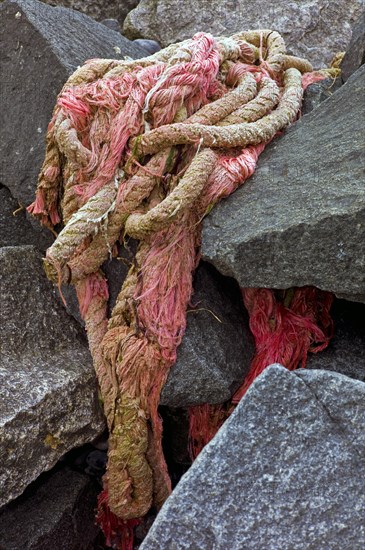 Old ships rope between boulders