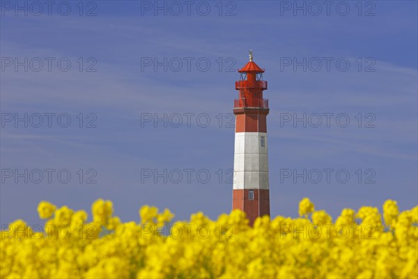 Lighthouse Fluegge