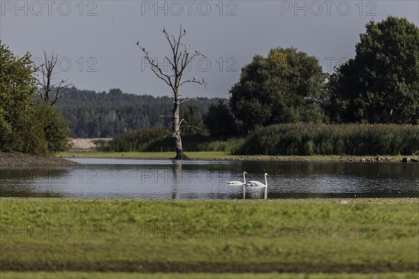 Low water level in the polder