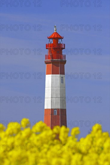 Lighthouse Fluegge