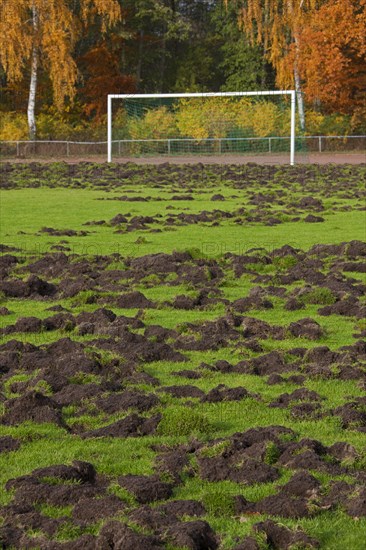 Ruined football field