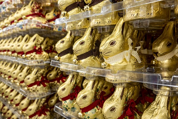 Many chocolate Easter bunnies