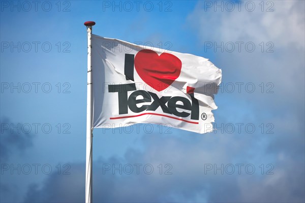 Texel