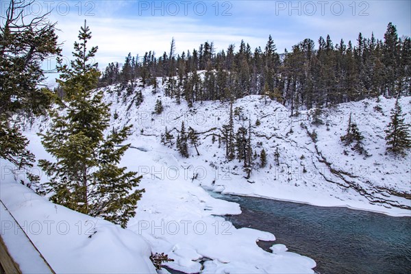 Iced rapids Bow Falls