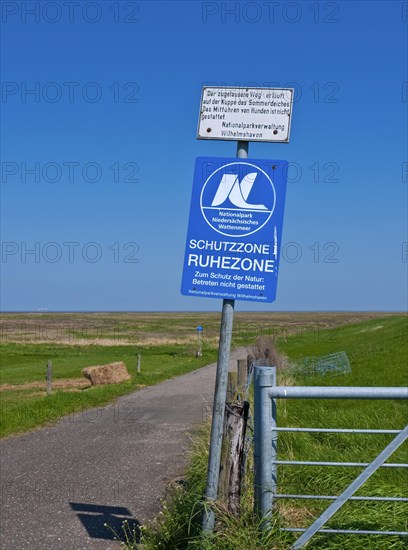 Dike foreland in Butjadingen