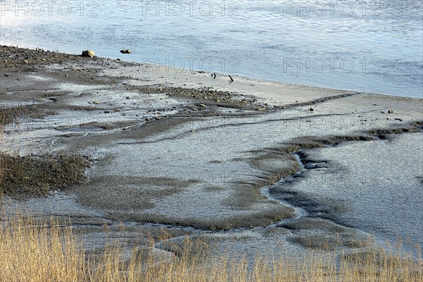 Low water on the river Lesum