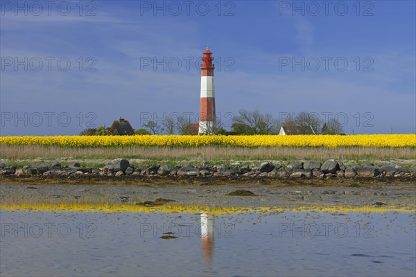 Lighthouse Fluegge