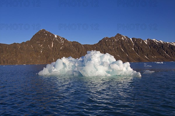 Ice floe calved from the Lilliehoeoekbreen glacier drifting in the Lilliehoeoekfjorden