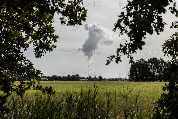 The Jaenschwalde coal-fired power plant looms behind trees in Dissen-Striesow