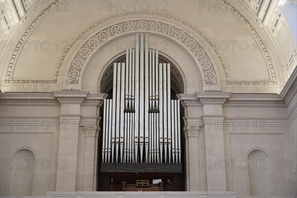 Organ