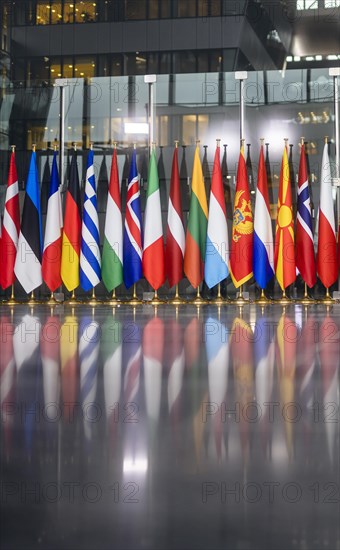 Flags in the main hall