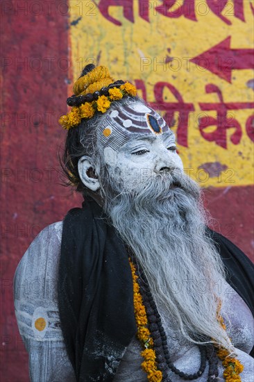 Sadhu