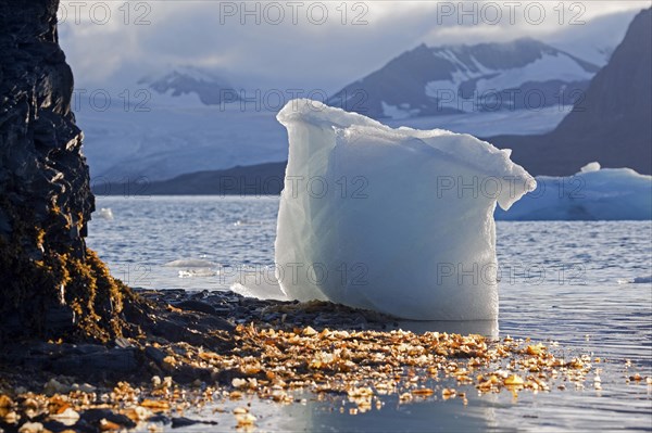 Large chunk of ice washed ashore on beach at Svalbard