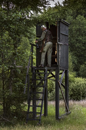 Hunter at a raised hide