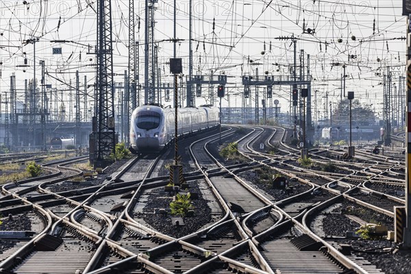 Track apron with rails