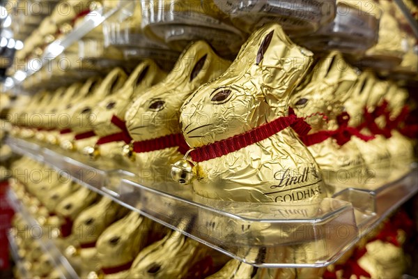 Many chocolate Easter bunnies