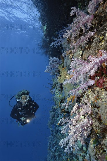 Female diver