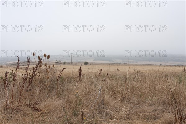 Misty landscape in the morning