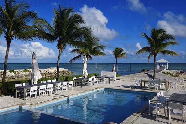 Pool area in the marina ofPalm Cay Harbour