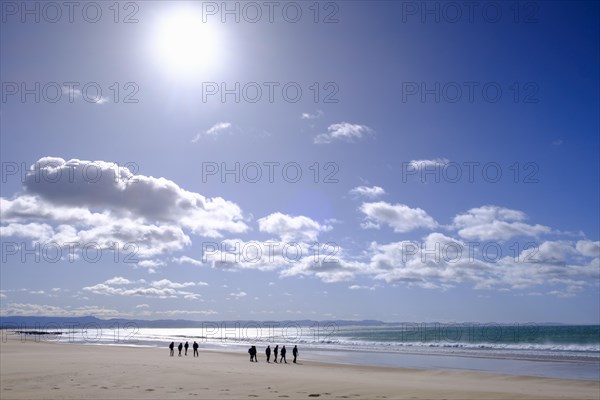 Beach walkers