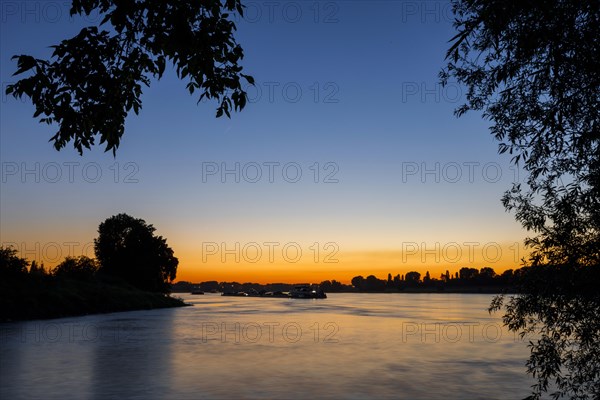 Freighter on the Rhine in the evening