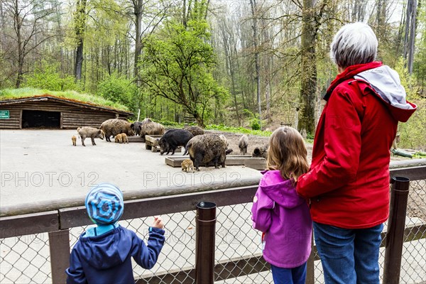 Wildpark im Grafenberger Wald