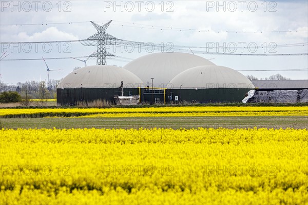 Biogas plant in Dithmarschen
