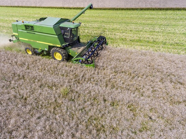 Grain harvest