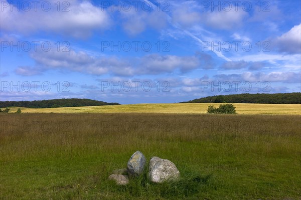 Landscape near the Koenigsstuhl