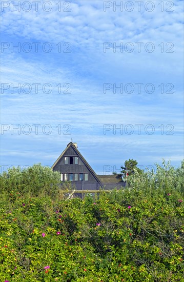 Residential house on Graswarder