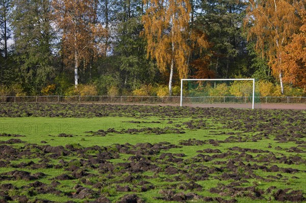 Ruined football field