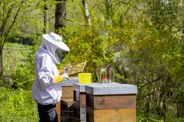 Beekeeper with smoker