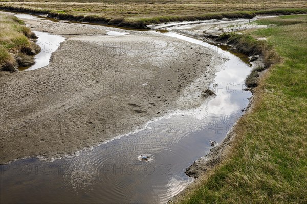 Salt marshes between the sandbanks and dunes