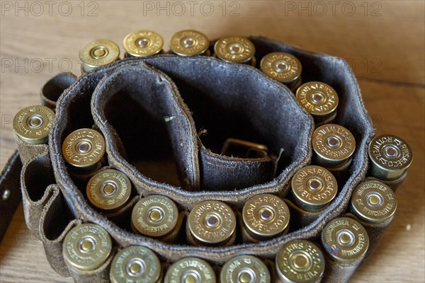 Cartridge belt with shotgun ammunition calibre 12