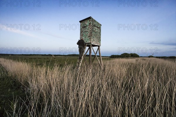 Hunter at a raised hide