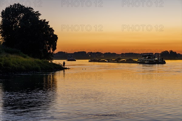 Freighter on the Rhine in the evening