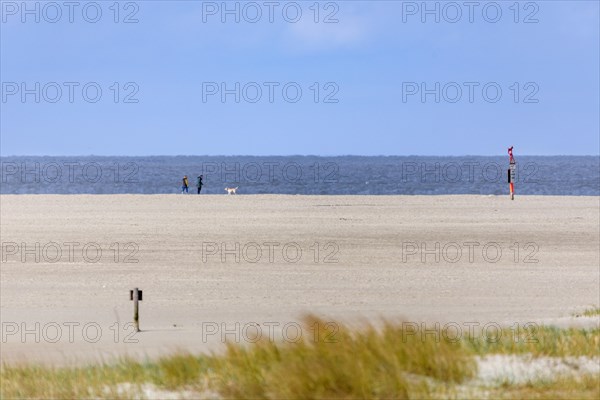 North Sea coast