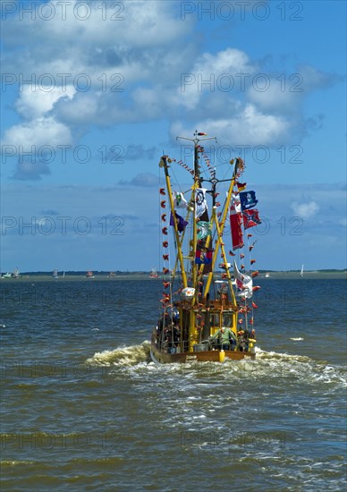 Decorated crab cutter sailing towards the island of Spiekeroog
