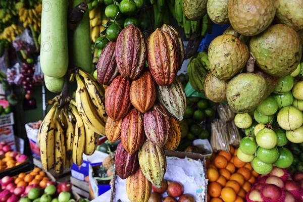 Cocoa fruit at the market in Kandy