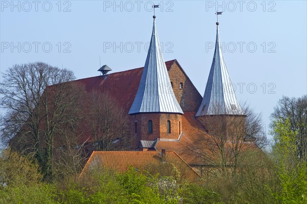 The cathedral at Bardowick in the district of Lueneburg