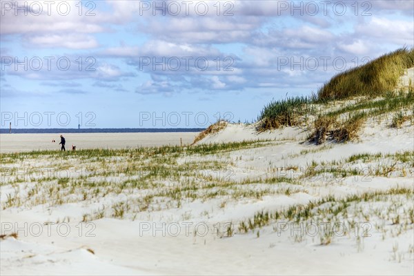 Beach by the dunes