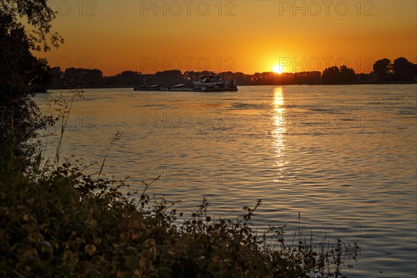 Freighter on the Rhine in the evening