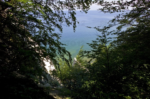 Victoria View of the Baltic Sea