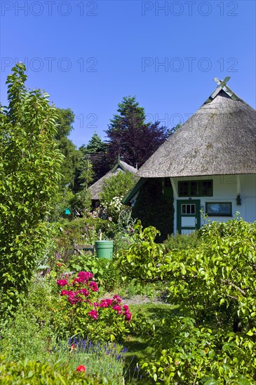 Thatched house in Wustrow Fischland