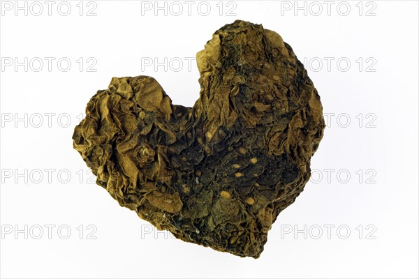 Dried potato in the shape of a heart