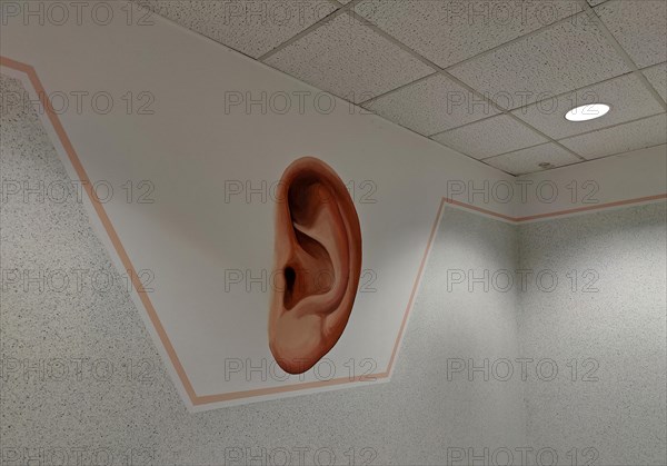 Mural of an ear in the stairwell on the way to the ear doctor