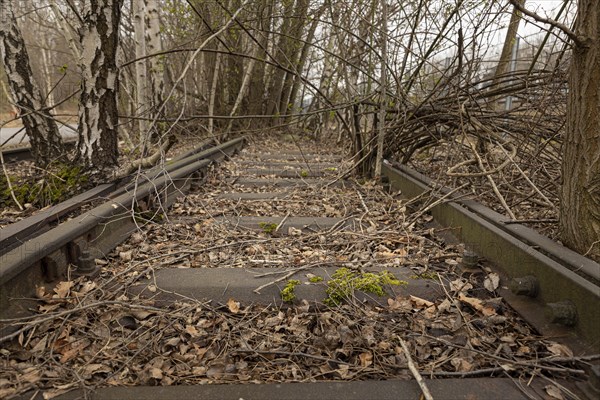 Old Deutsche Bahn tracks in Berlin. Symbolic image of the condition of Deutsche Bahns tracks