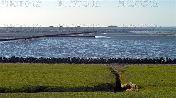 View from the island of Nordstrand to the Hallig Nordstrandischmoor