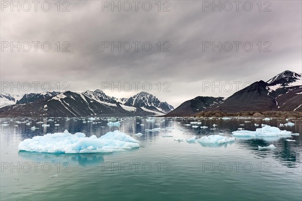 Ice floe in front of Monacobreen